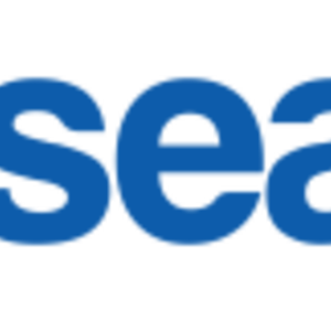 Kaiser Permanente Seafair Torchlight Run
