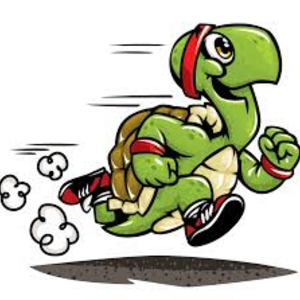 Turtle Lake Turtle Trot