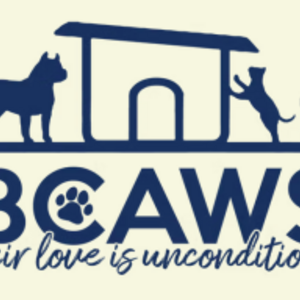 Run for BCAWS!