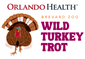 Wild Turkey Trot 3k presented by Orlando Health