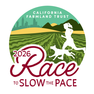 Race To Slow The Pace