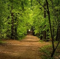 Shoreham woods 10k Trail Run 2026