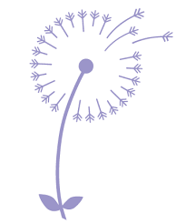 Wishing Flower Walk & 5k