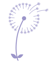 Wishing Flower Walk & 5k