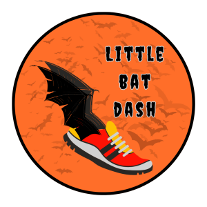 Little Bat Dash