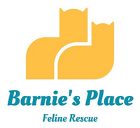 Barnie's Place 5K Race: Go the Extra Mile