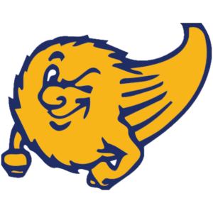 Comet 5k run/walk