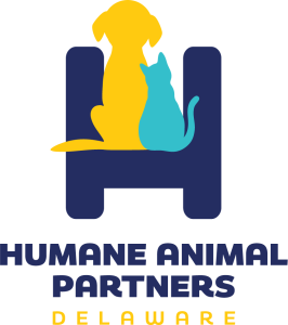 18th RUN FOR THE PAWS 5K, 5K WALK & 1M DOG WALK (SS Summer Series #10)
