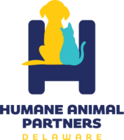 18th RUN FOR THE PAWS 5K, 5K WALK & 1M DOG WALK (SS Summer Series #10)