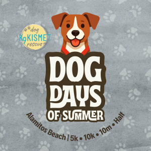 Dog Days of Summer – 5K, 10K, 10M, and Half Marathon