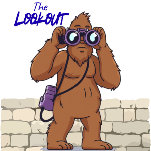 The Lookout