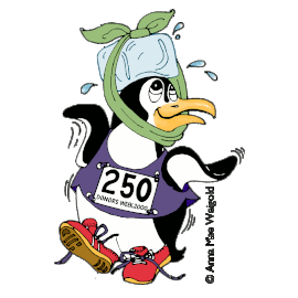 Torrington Road Race 2026