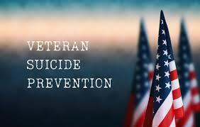 Stride For Change: Supporting Our Veterans and Military Families