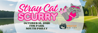 Stray Cat Scurry