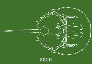 Annual Horseshoe Crab Run/Walk