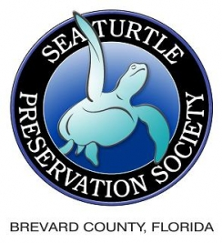 Turtle Krawl 5K