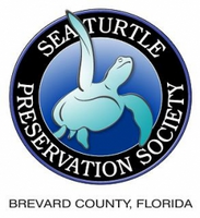 Turtle Krawl 5K
