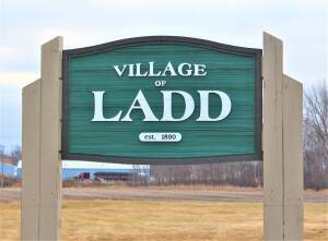 Running For Hope 5k - Ladd Daze
