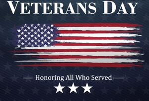 The Dunedin Veterans Day 5K 10K and Kids Dash Honor Runs