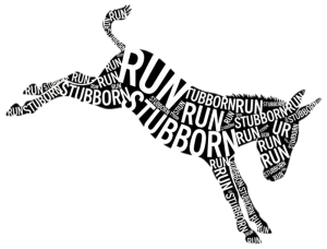 Run Stubborn 25k and 50k