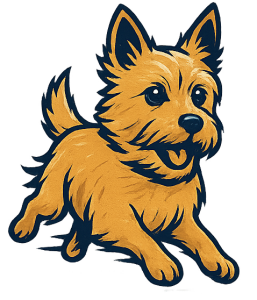 Fast and the Furriest 5k