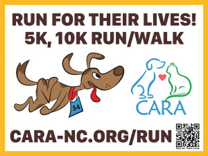 CARA RUN For Their Lives! 2026