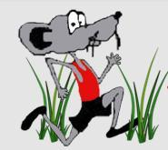 The 46th Annual Swamp Rat Runs