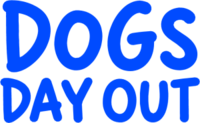 Dogs Day Out 5K Run/1.25mi Walk