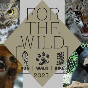 For The Wild 5K/10K+