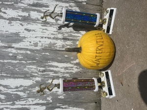 Mary Cleary 5k ( Cruisin Into Waterville )