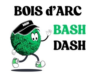 Bash Dash 2026