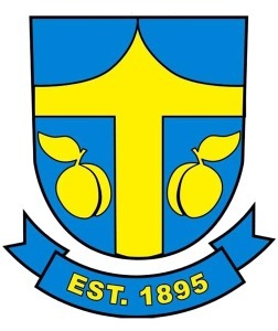 Thorsby Swedish Festival Viking Run