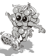 Nauvoo Grape Stomp 5k Walk/Run