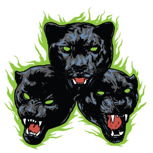 Wildcat