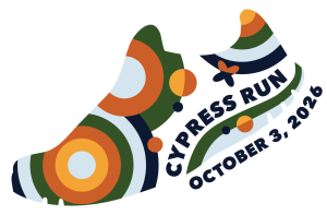 Cypress Run