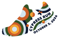 Cypress Run