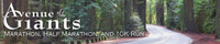 2027 Avenue of the Giants Marathon