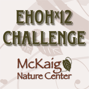 EHOHx12 Challenge: Run Every Hour On the Hour at McKaig Nature Center