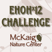 EHOHx12 Challenge: Run Every Hour On the Hour at McKaig Nature Center