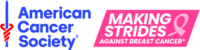 Making Strides Against Breast Cancer of SWFL Pink Glow 5K