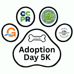 Adoption Day 5K