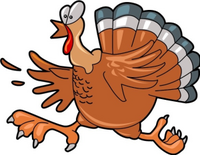 RRRC 49th Annual Turkey Trot 10k & 5k, presented by Wegmans